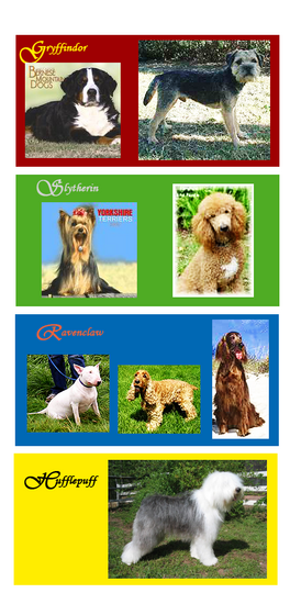 pictures of dogs